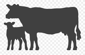 Free Free 196 Baby Cow With Bow Svg SVG PNG EPS DXF File