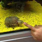 Zalando Outlet Leipzig Kids Mode Modetrends Aktuelle Modetrends