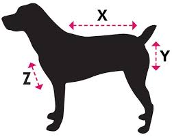 Dog Size Guide Horseware Ireland