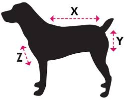 dog size guide horseware ireland