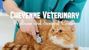 Cheyenne Veterinary Wellness And Surgical Center - Home Facebook