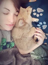 Pedigree Österreich