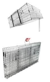 Back to drop trap/remote control trap page. Rodent And Animal Traps 181045 Feral Cat Drop Trap Dt1 Buy It Now Only 127 5 On Ebay Cat Traps Animal Traps Cats