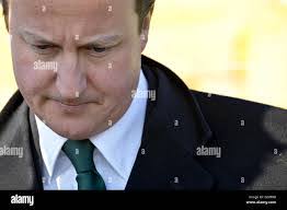 Neil Holifield's Instagram, Twitter & Facebook