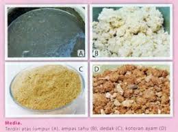 Berbeda dengan saudaranya cacing tanah yang. 6 Cara Budidaya Cacing Sutra Dengan Nampan Ilmubudidaya Com