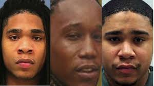 2nd twin charged in 2 deaths after officials said they went to 'rob a  dealer' pleads guilty