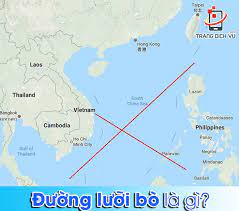 Phong tỏa 15 điểm trên 4 trục đường chính và 500 hộ dân: Ä'Æ°á»ng LÆ°á»¡i Bo La Gi Hinh LÆ°á»¡i Bo Co Y NghÄ©a Gi