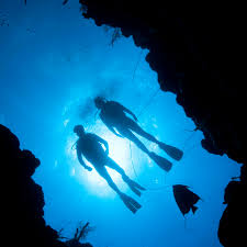 Where To Scuba Dive In Puerto Rico