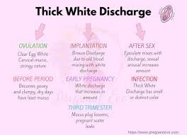 What does egg white discharge look like? Thick White Discharge Types Causes Treatment