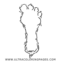 Whitepages is a residential phone book you can use to look up individuals. Bigfoot Coloring Pages Ultra Coloring Pages