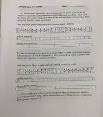 Transcription and translation worksheet answers pdf. Central Dogma Worksheet Name 1 A For The Short Chegg Com