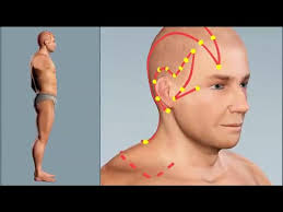 Gall bladder Meridian