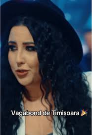 Vagabond de Timișoara