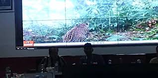 Wisata ternak kandang macan : Waspada Serangan Macan Tutul Muria Di Dukuh Duplak Desa Tempur Jepara Lingkar Muria