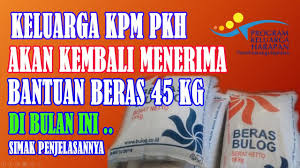 Bantuan ini cair sebulan sekali dan diwujudkan dalam bentuk kebutuhan Bantuan Pkh Tahun 2021 Apakah Kpm Pkh Akan Mendapatkan Kembali Bantuan Tambahan Beras Sebanyak 45 Kg Youtube