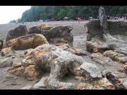 She was malin kundang's mother. Indonesian Folktales Malin Kundang Syamsun