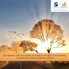 Sound Of Birds Chirping In The Morning Thoughtoftheday Salarpuriasattva Sattvagroup Be Thankful For The Sound Of Birds Chirping In The Morning It G Sounds Of Birds Thought Of The Day Day
