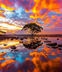 Pin On Australia Queensland