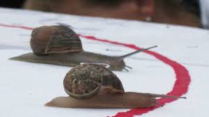 Calle juan de mena, 14, 28014 madrid, spain. Lifestyle Carreras De Caracoles Una Costumbre Mas Alla De La Pura Diversion