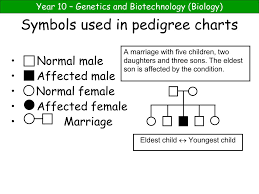 Ppt Pedigree Charts Powerpoint Presentation Free Download