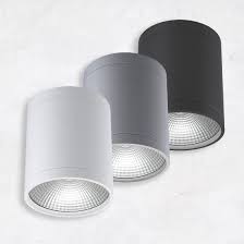 Alcon 11235 Dir Led Cylinder Ceiling Light In 2021 Cylindrical Lighting Downlights Ceiling Lights