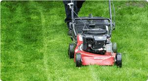 Lawn care services companies will provide lawn aeration. Premium Lawn Maintenance Services Fantastic Services