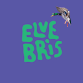 ELVEBRIS 2026 - FESTIVALPASS event image