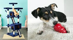 Get dog oral flea and tick medication prescriptions online at chewy pharmacy by visiting your vet and never run out of your dog's prescription oral flea and tick medicine with autoship from chewy! 18 Cult Favorite Pet Products You Can Get From Chewy