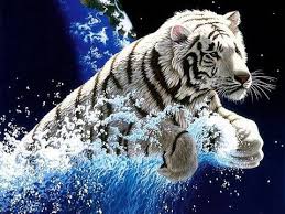 Como siempre te traemos novedosos fondos de pantalla en esta ocasion te traemos estos fondos en 3d para que puedas instalarlos en tu computadora y el aspecto del. Fondos De Escritorio Con Movimiento Para Windows 7 Buscar Con Google Tiger Wallpaper Tiger Pictures Animal Wallpaper