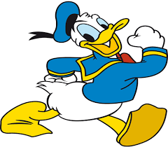 J & b bristow / flickr of all the types of ducks, the mallard (anas platyrhynchos) is one of the most wides. What Do You Know About Donald Duck Proprofs Quiz