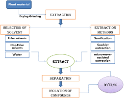 Natural Colorants Historical Processing And Sustainable