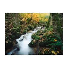 Скачать the_forest_v1_12.torrent как тут качать? Torrent In The Forest Digital Art By Reinhard Schmid