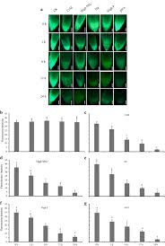 In addition to the new public members, the iacc will have a new chair when it reconvenes. Molecular Identification Of A Root Apical Cell Specific And Stress Responsive Enhancer From An Arabidopsis Enhancer Trap Line Plant Methods Full Text