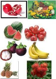 Pada kesempatan kali ini, decyra mau membahas mengenai nama nama. Gambar Buah Buahan Tempatan