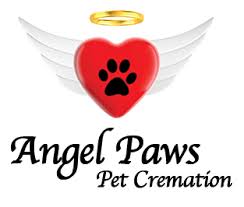 My dog haley was a very lively 15 year old rhodesian ridgeback who was beginning to have difficulties getting around. Angel Paws Pet Cremation In Home Euthanasia Services Angel Paws Pet Cremation