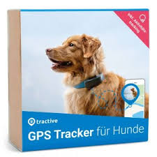 Wie ihr traum von den eigenen vier wänden aussieht, wissen wir. Gps Tracker Fur Hunde Die Besten 6 Im Vergleich 2021