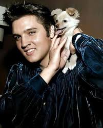 Mr. Blue released in 1959