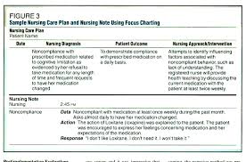 12 Nurses Notes Example Business Letter