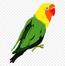 Mungkin masih banyak macam dan jenis varian lovebird yang tidak tercantum dalam daftar ini. Lilians Lovebird Bird Clipart Lilian S Lovebird Hd Png Download Vhv