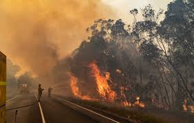 Check spelling or type a new query. 2019 2020 Australian Bushfires Center For Disaster Philanthropy