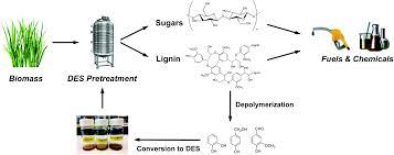 Under the provisions of part 403.5(c)(1) & (2), a potw must establish and enforce specific local limits for industrial users to prevent interference with Biomass Pretreatment Using Deep Eutectic Solvents From Lignin Derived Phenols Green Chemistry Rsc Publishing Doi 10 1039 C7gc03029k