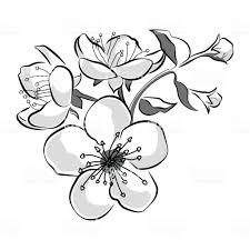 Blooming Cherry Sakura Branch With Flower Buds Black And White En 2020 Fleur De Cerisier Dessin Fleur De Cerisier Japonais Fleur De Cerisier