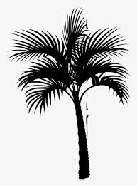In this page, you can download any of 39+ coconut tree vector. Download Png Coconut Tree Vector Free Transparent Png Download Pngkey