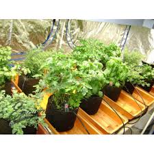 Check spelling or type a new query. Smart Pot 2 Gallon 7 6l
