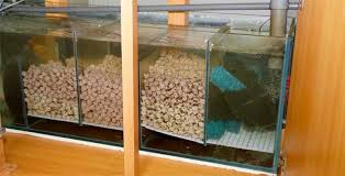 Through beautiful visual exhibits and engaging interactive exhibits, the aquarium will leave you with a broader understanding of the interactions that take place in mobile bay, the fourth largest estuary system in. Diskus Haltung Diskusfische Richtig Halten Europa Discus Center