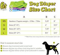 Pet Magasin Reusable Dog Diapers 3 Pack Small
