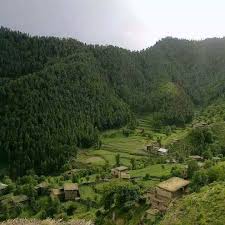 نورستان از جمله اولین ولایاتی است که در ١۲ میزان ١۳۵۷علیه رژیم پوشالی خلق و پرچم بدون آنکه مکروب های تنظیمی به آن سرایت کند قیام کرد. Ù†ÙˆØ±Ø³ØªØ§Ù† Ù‚Ø¯ÛŒÙ… Old Nuristan Home Facebook