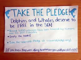 Raw Sex Scenes Featuring Ultimate Adult Stars - Bobs and Vagene