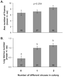 A parasite is an organism that feeds off of others without giving anything in return. Plos One Evaluation Of The Distribution And Impacts Of Parasites Pathogens And Pesticides On Honey Bee Apis Mellifera Populations In East Africa