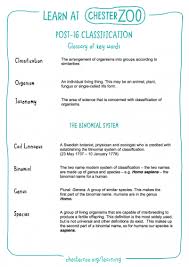 Post 16 Classification Glossary Schools